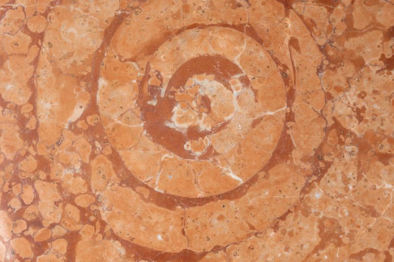 Rosso Verona | Kalkstein
Herkunft: Italien
Verwendung: Innen